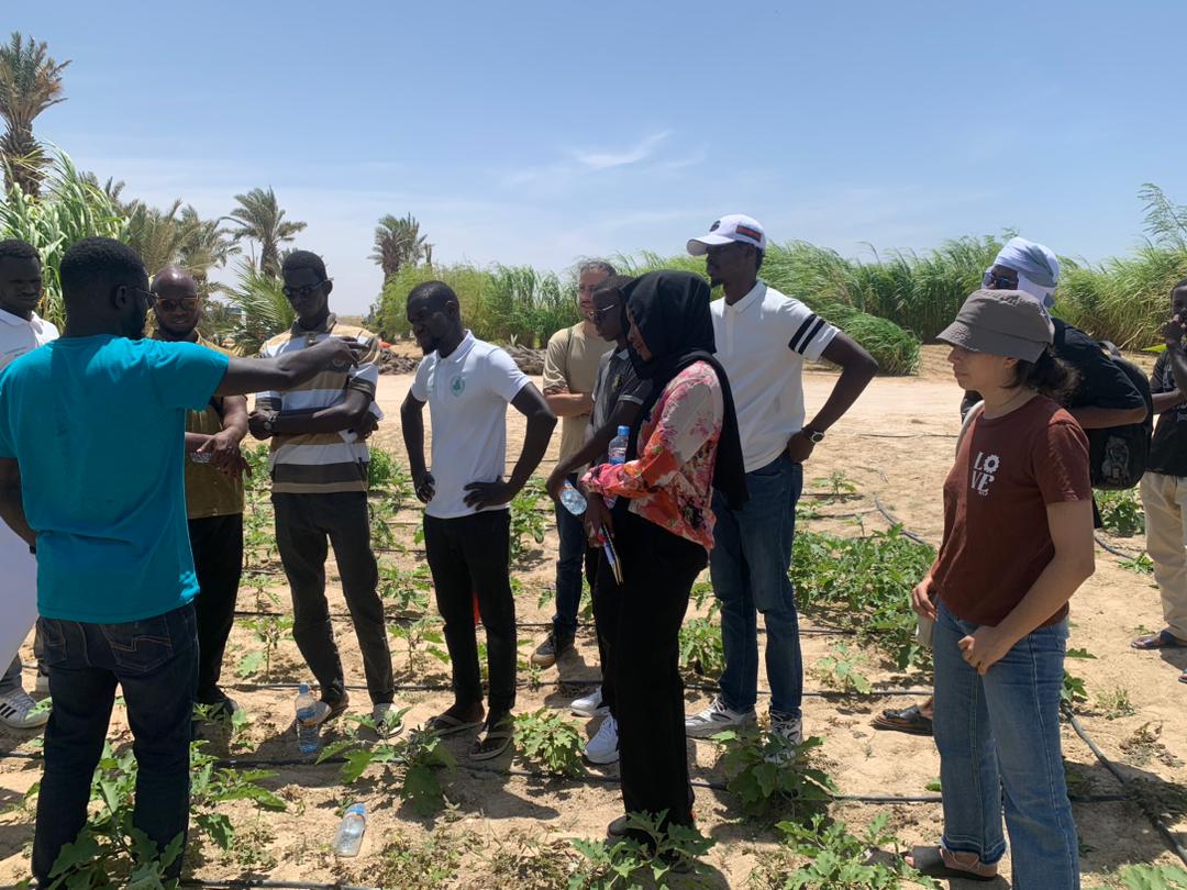 whatsapp image 2025 11 08 at 11.53.54 am